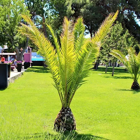 Üdülőpark S - Mobile Soline